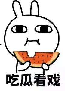 娱乐吃瓜酱2选一测试,揭秘娱乐圈背后的秘密